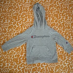 Champion Kids Light Gray Hoodie